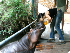 Carolina Vidal Carolina Vidal